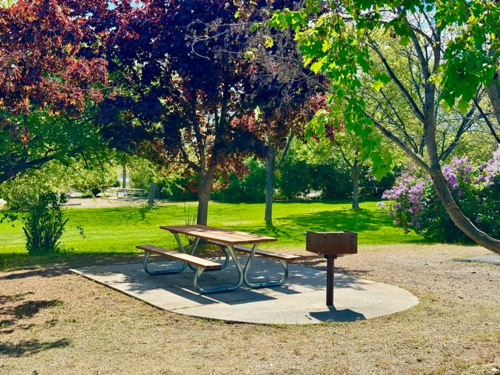 RV parked at a campsite at sunset