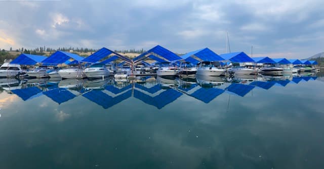 A Campground Takes Root